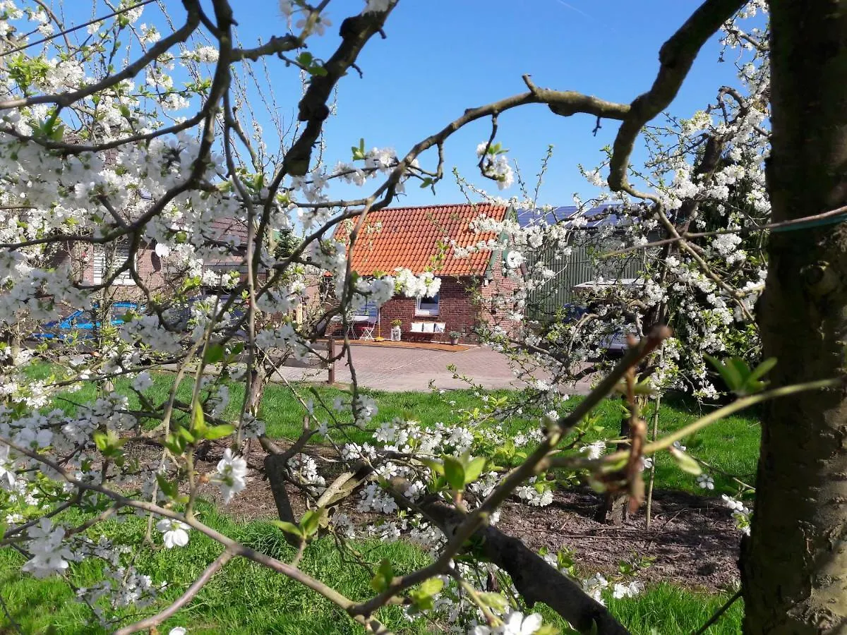 Gemuetliches Haeuschen Im Alten Land Jork